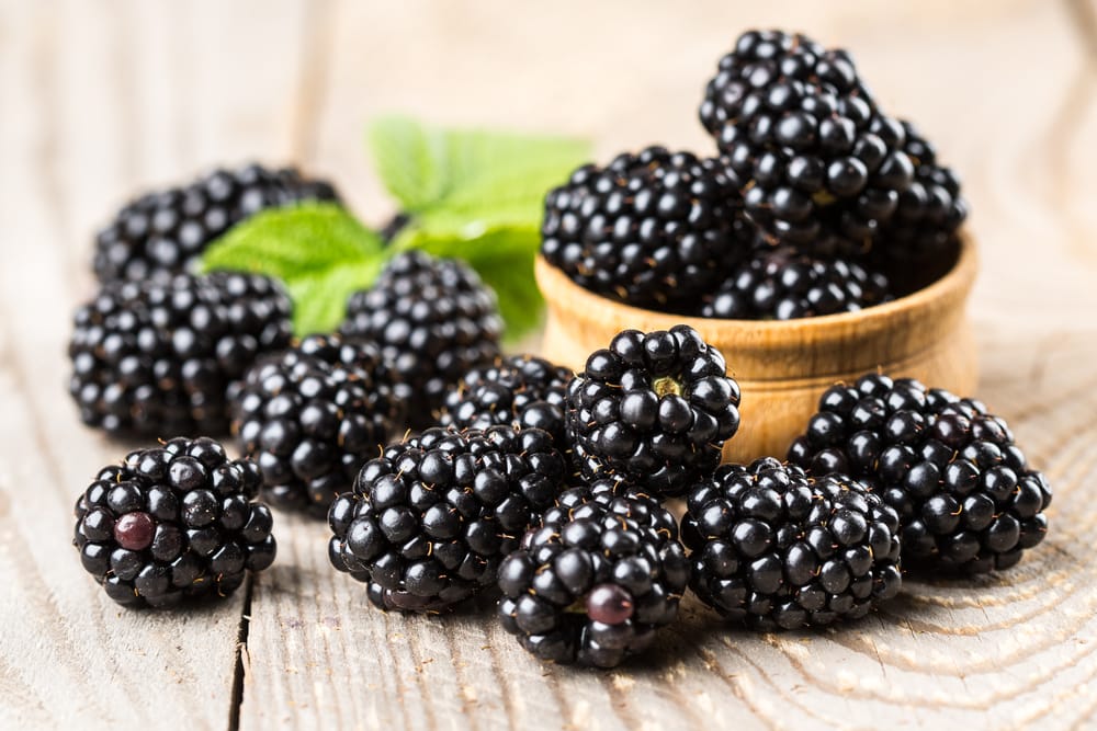 La Sagra delle More di Capranica Prenestina: tra natura, gusto e festa popolare