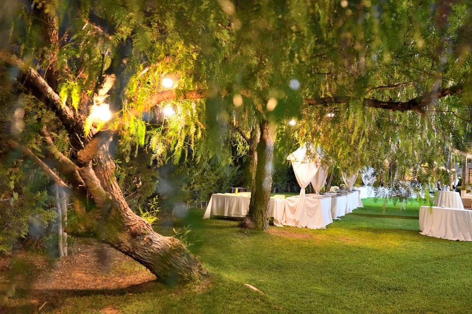 Brividi e festa: Halloween Party al Casale dell’Ulivo di Palestrina