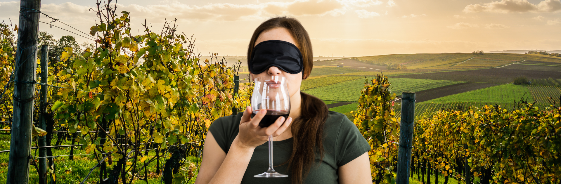 Degustazione sensoriale a Poli con “Vinum Essentia”