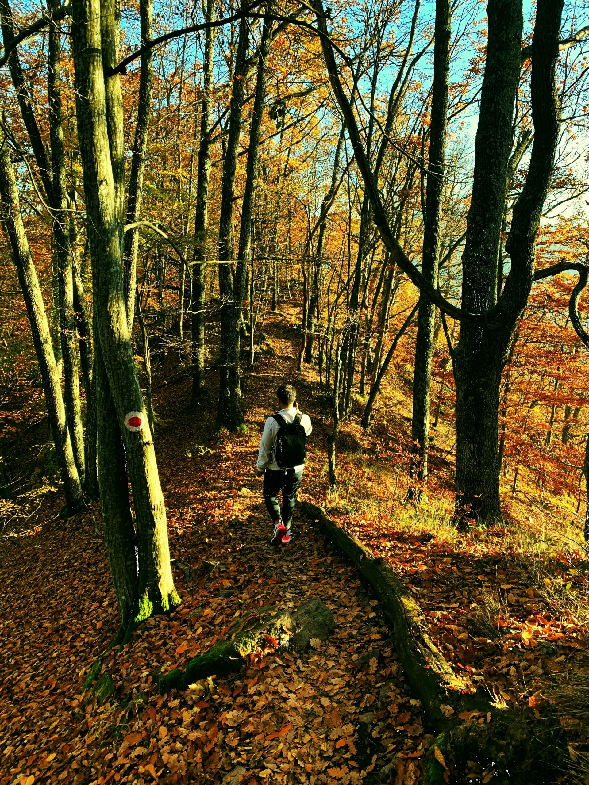 Trekking d’Autunno sui Monti Prenestini