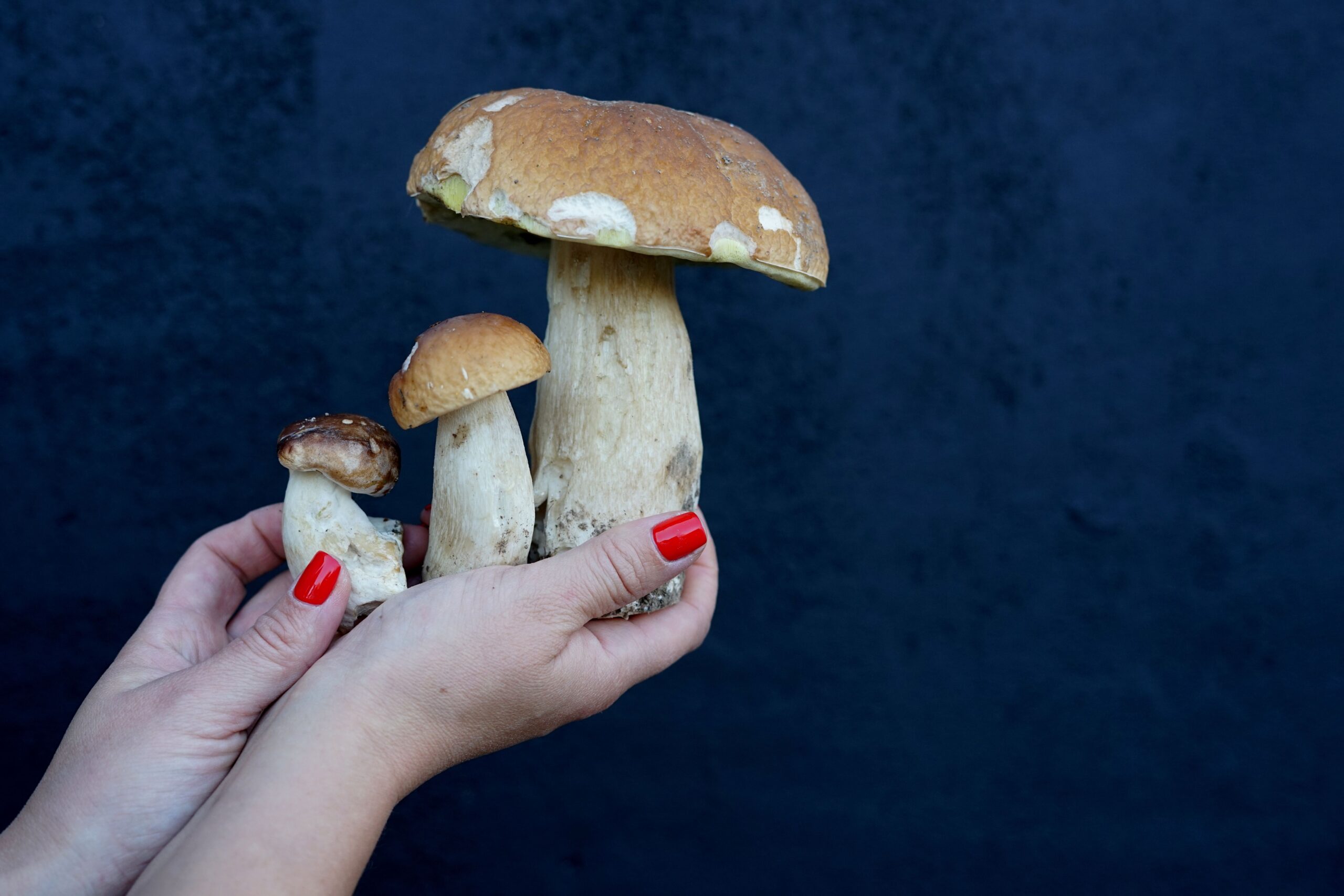 A Bellegra tornano le Tacchie ai Funghi Porcini