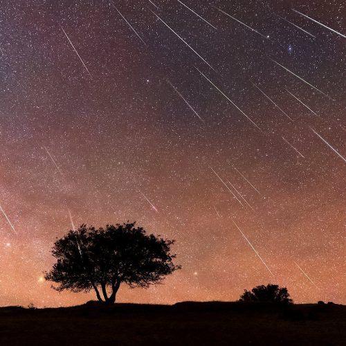 “Desideri in volo”: la magia delle Perseidi illumina i cieli dei Monti Prenestini