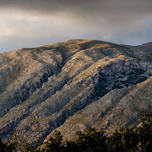 Trek Giurassico – A Caccia di Dinosauri sui Monti Prenestini