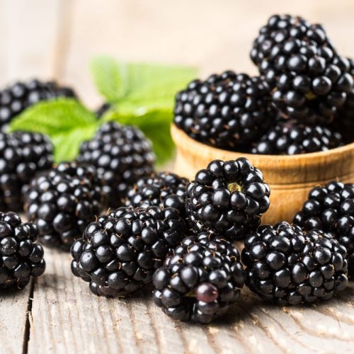 La Sagra delle More di Capranica Prenestina: tra natura, gusto e festa popolare