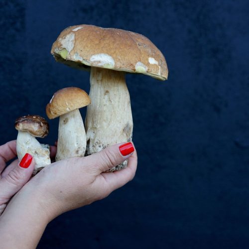 A Bellegra tornano le Tacchie ai Funghi Porcini